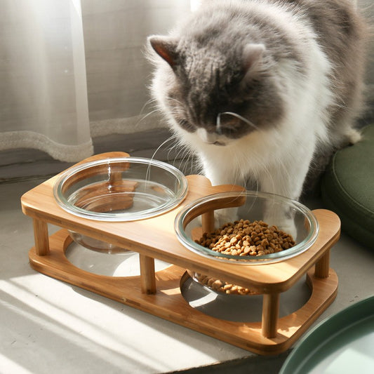 Elevated Glass cat bowl