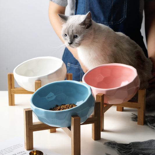 Elevated cat bowl