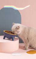 Load image into Gallery viewer, Cat Elevated Bowl
