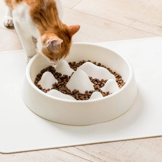 Cat Slow Food Bowl