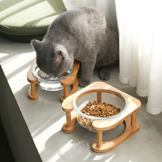 Elevated Glass cat bowl