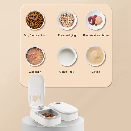 Automatic Smart Food Dispenser