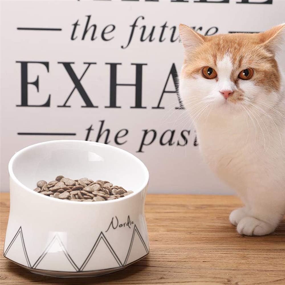 Ceramic Cat Elevated Bowl
