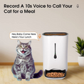 Load image into Gallery viewer, Smart Cat Feeder With HD Camera
