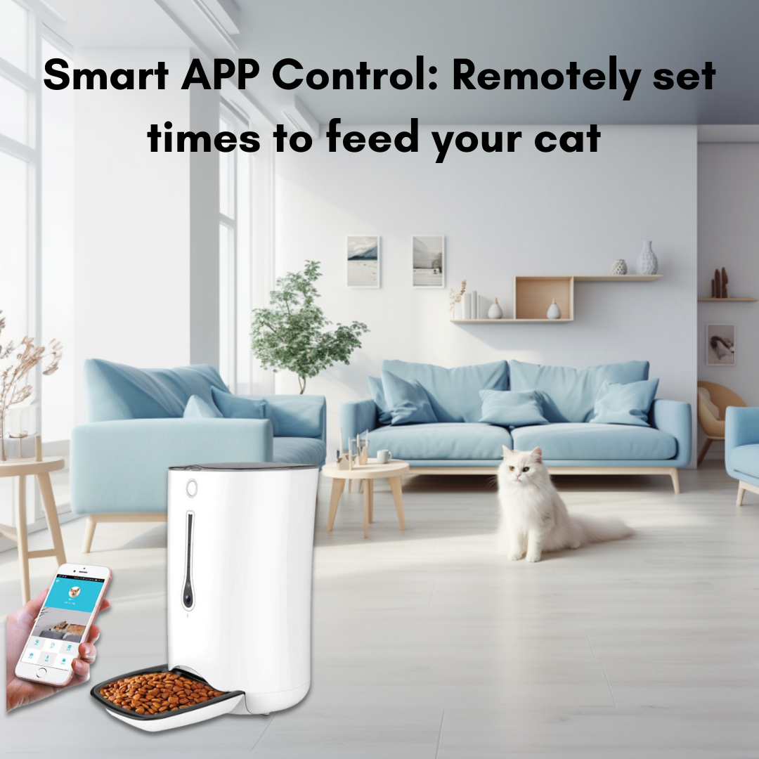 Smart Cat Feeder With HD Camera