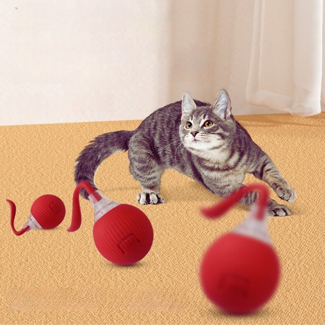 PurrPlay interactive Ball