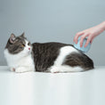 Load image into Gallery viewer, Jellyfish Massage Cat Brush
