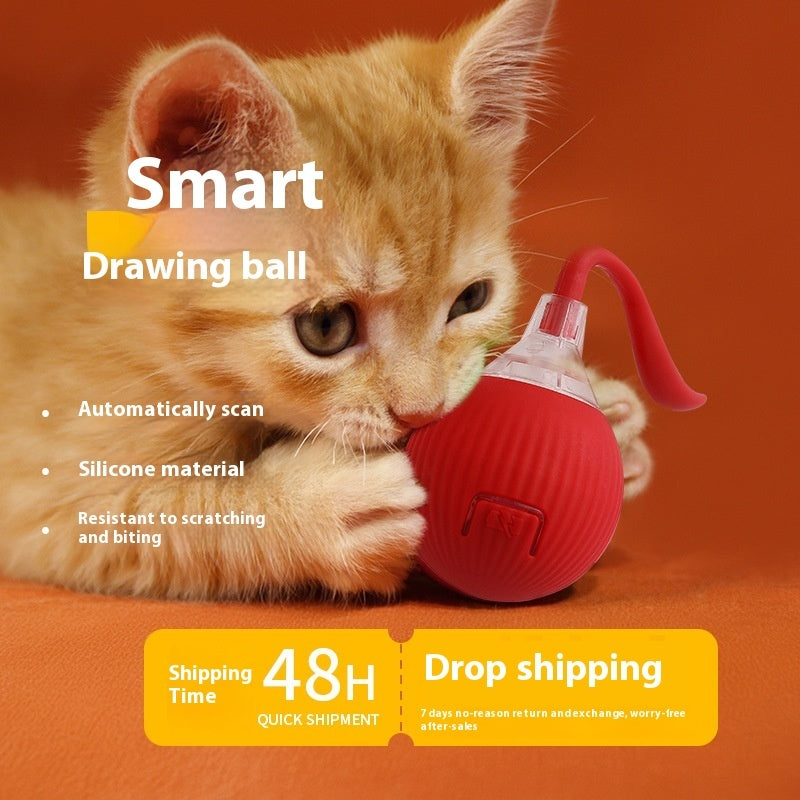 Interactive Cat Ball